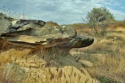 Прикрепленное изображение: PA232558_web.jpg